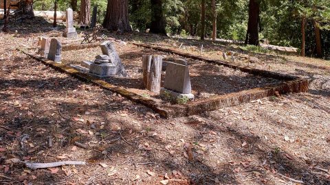 Forbestown Cemetery (2025)-L1007532