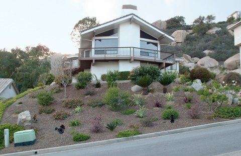 Xeriscape 2