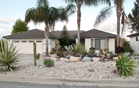 Xeriscape 1