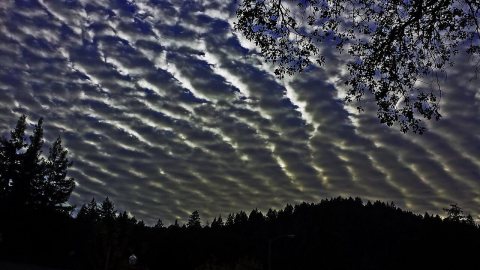 Ben Lomond, CA, USA