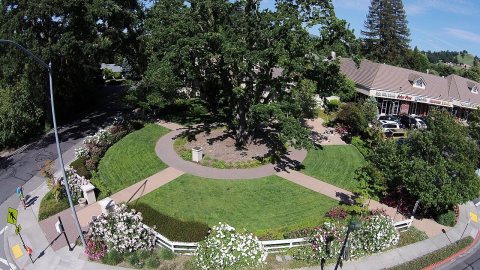 Aerial view of Andrew Young park