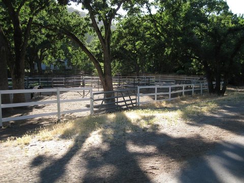 Horse Boarding