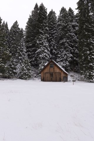 Remnants of the old mining town of Johnsville, now largely abandoned except for a few residences and the Iron Door, a p…