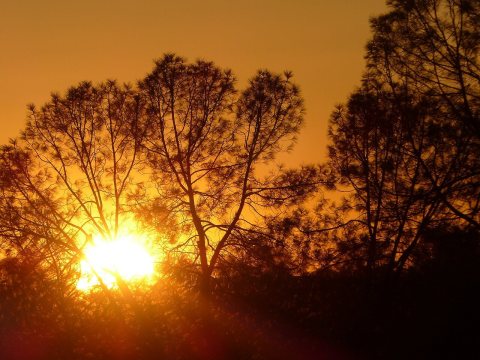 Coarsegold-CA-Sunset