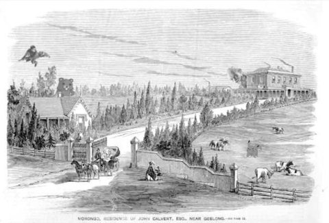 MorongoHouse