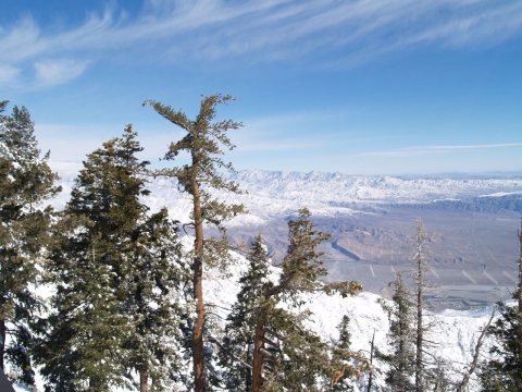 Morongo Valley from San Jacinto Peak