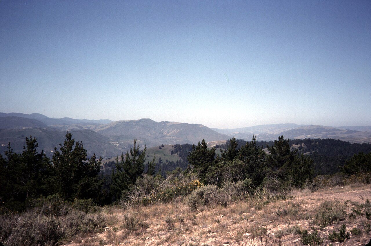 Carmel hinterland, 1977