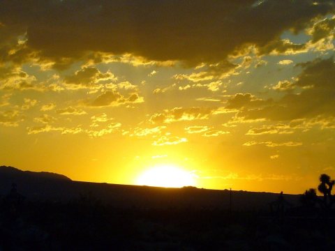 Actual sunset in Joshua Tree California, USA (crop)