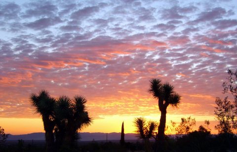 Sunrise in Joshua Tree, California 09-07-11