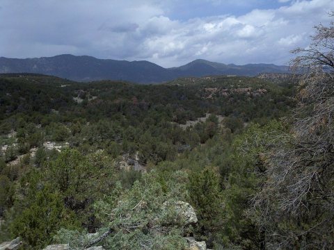 Penrose - panoramio (4)