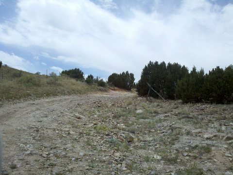 Penrose - panoramio (9)
