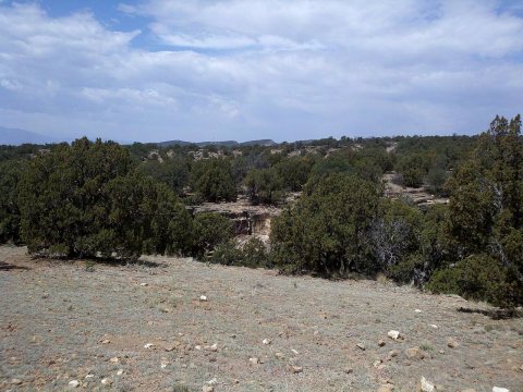 Penrose - panoramio (2)