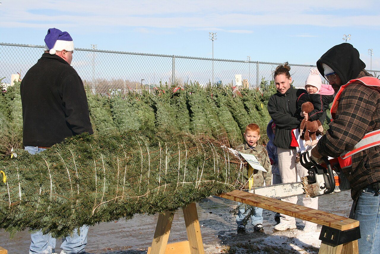 Army family at the Fort Carson Sports Complex with their baled Christmas tree (December 2008)