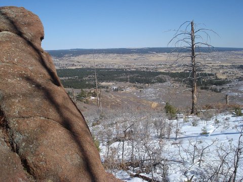 View of Black Forest from about 8,000 feet, Mt Herman