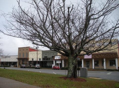 Dadeville Alabama