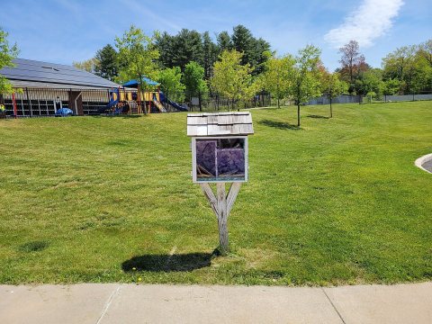 Little Free Library