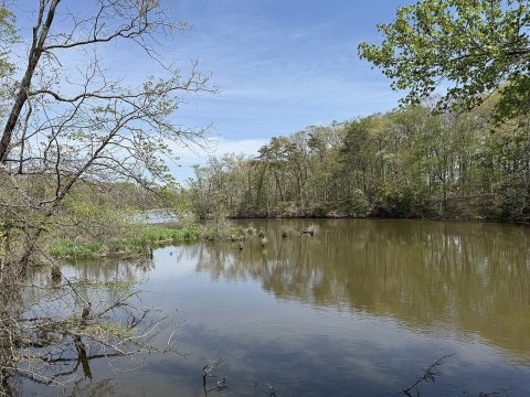 Tidbury Creek east of DE 10 ALT