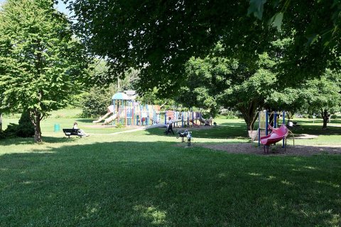 Play areas in Swift Memorial Park