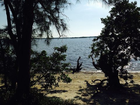 Chokoloskee, FL 34138, USA - panoramio (4)