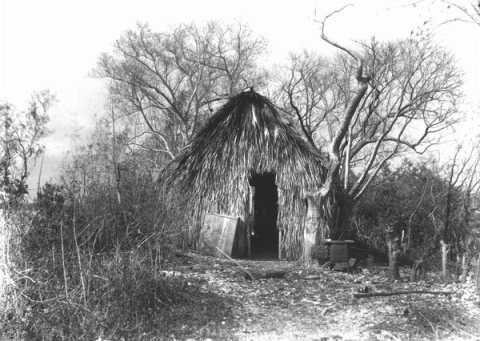 Seminole chickee on Chokoloskee Island, Florida
