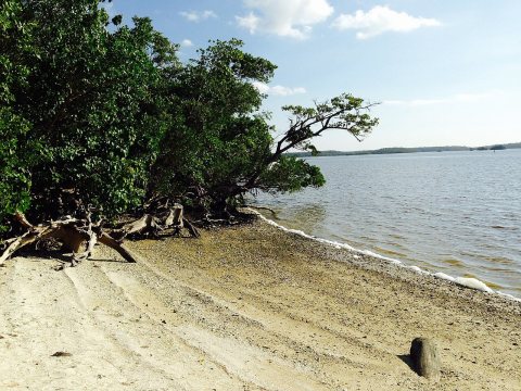 Chokoloskee, FL 34138, USA - panoramio (2)