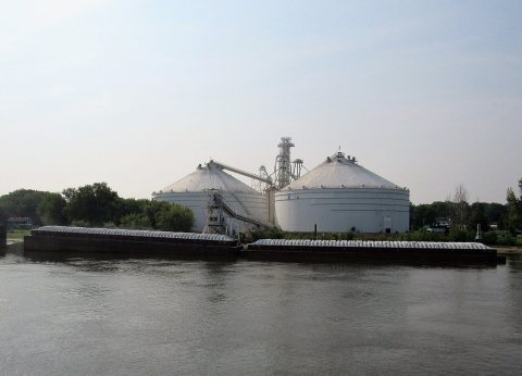 Grain Terminal