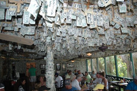 Cabbage Key Cruise 2016 (7)