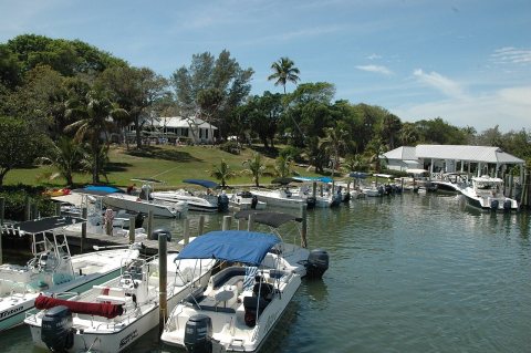 Cabbage Key Cruise 2016 (12)