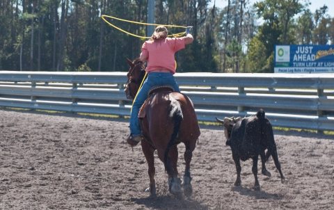Saturday sports, Yeehaw Junction, Florida, 14 Nov. 2009 - Roping