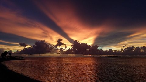 Punta Rassa, FL 33908, USA