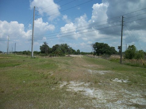 Old FL SR 54 at Trinity Boulevard