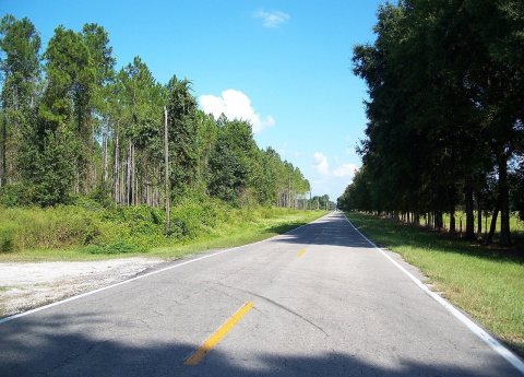 Andrews FL east01