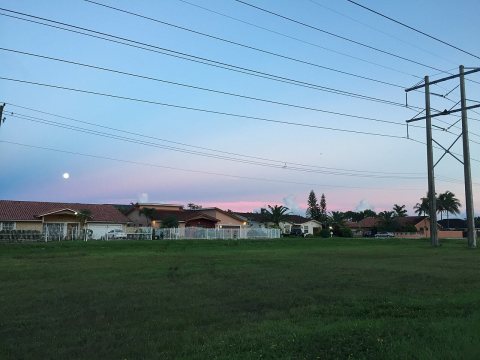 Eplzdont step onmibalenzis