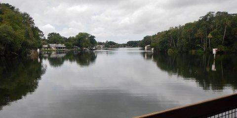 Homosassa
