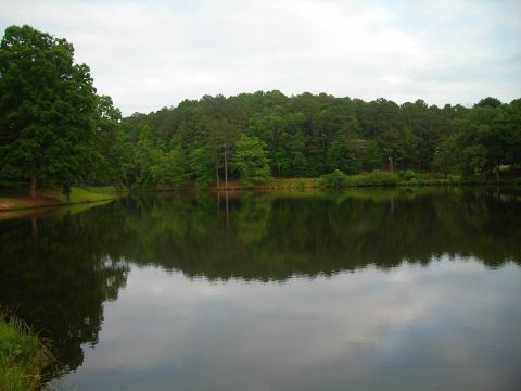 Drive Around The Lake