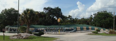 Swampy gator