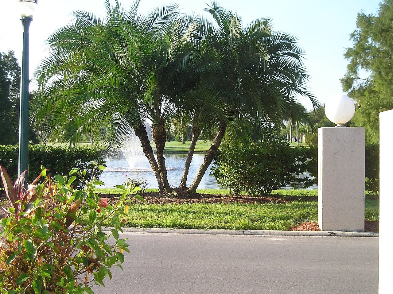 Majestic 19942 Lake Vista Circle 003