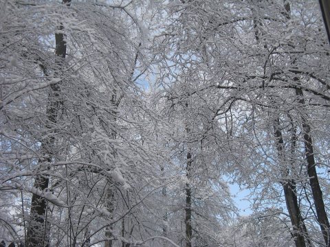 El Nino Snow Over Augusta Georgia