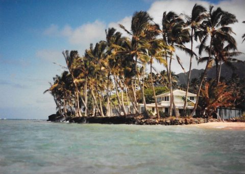 Beach house, palm trees, the Pacific Ocean, Punaluu, Oahu
