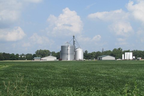 Raub grainery 6535
