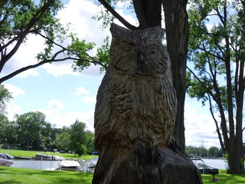 Owl carving in Lions Park