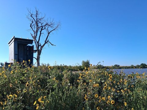 Beaumont St. Louis and San Francisco Railroad Retention Pond