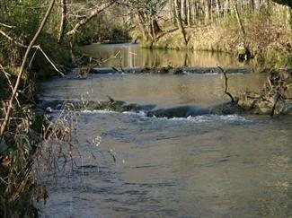 Buckcreek
