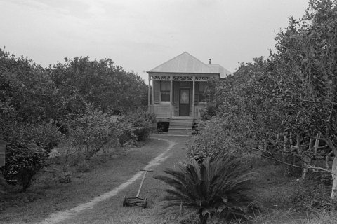 BoothvilleOrangeGrower