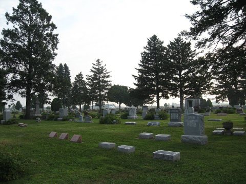 Arcola Township Cemetery, looking northeast, August 2009