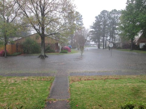 Terrytown LA Rain 28Mch2014