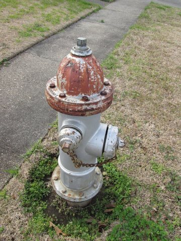 Terrytown LA Hydrant 2