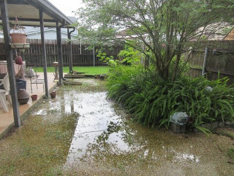 Terrytown Yard Rain Water July 2017