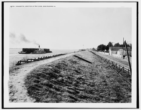 Chalmette, a section of the levee, New Orleans, La
