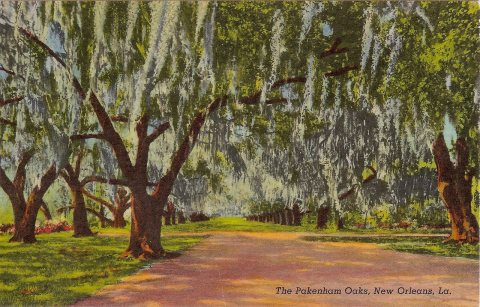 Pakenham Oaks Postcard Curtich